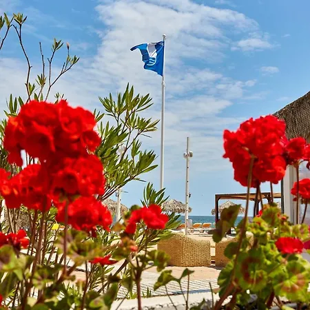 Apartahotel Ella Boutik Cytadell Eforie Sud (Constanta)